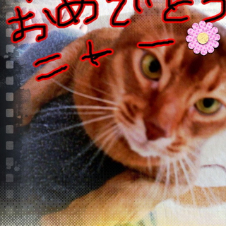 素敵な里親様に巡り会えました！