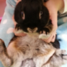 大切にしてくれる方｡ サムネイル2