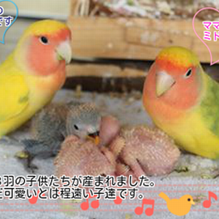 今回も前回以上のご応募感謝致します(^◇^)