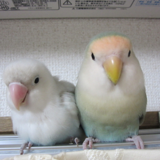たくさんのご応募ありがとうございました！！