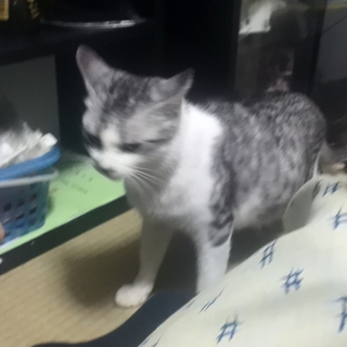 やんちゃな娘さんです