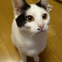 ホクロ模様が可愛い11ヶ月の女の子です