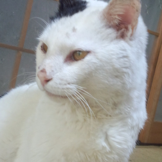 人が大好き！甘えた男の子＊