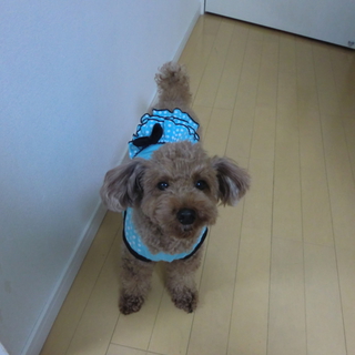 たくさんのお問い合わせありがとうございました。