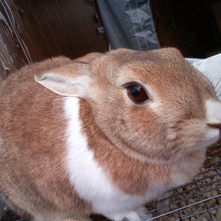 皆様ありがとうございました