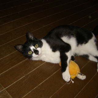 優しい方に迎えられました。ありがとうございました。