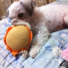 ありがとうございました。 サムネイル4