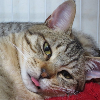 スリスリ大好き　つっきーくん