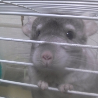 心優しい方お願いします。
