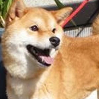 素敵な里親様が見つかり感謝です！