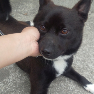 7キロくらい可愛いです
