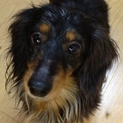 お顔立ちがとても可愛い子です。
