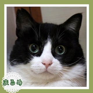 優しいパパ＆ママの家族になります～♪　