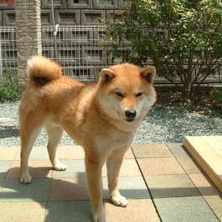 楽しく暮らせそうや！！！