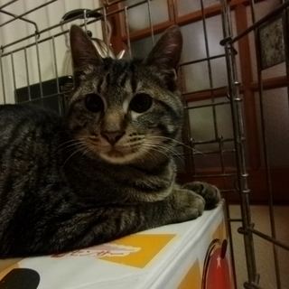 健康状態◎　ご検討ください