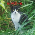HELP!!このままだと処分させられちゃう!!