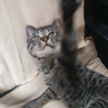 投げ捨てて捨てられたまぁくん、超性格良しです サムネイル2
