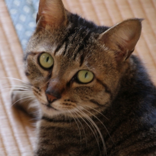 人が大好き☆こうた