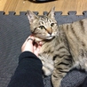 仲良し兄妹育ててあげて下さい。 サムネイル5