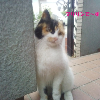 甘えん坊の私を貰ってください♡