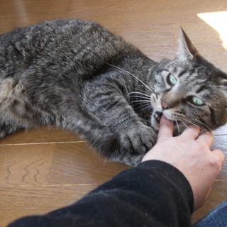 甘ったれ小僧の大輔くん