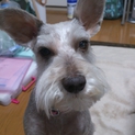 ありがとうございました。可愛がって下さい。 