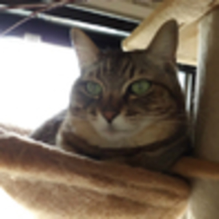 甘甘で・胴が短いので丸っこいです・・♪
