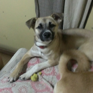 ありがとうございました。