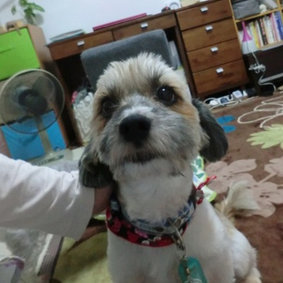 一時募集を停止します