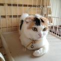 よろしくお願い申し上げます。