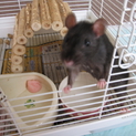 ありがとうございました＾＾
