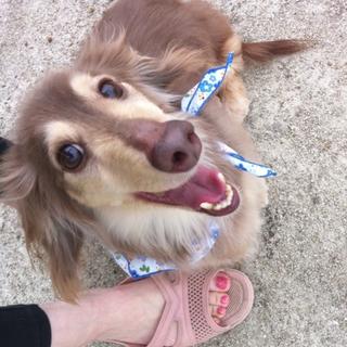 可愛がってくれる方
