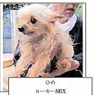 20日までの命!!!!ひめ