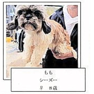 ６月３０日までの命!!!!!もも