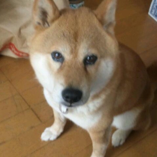 バン♂9才／お願いします・・・