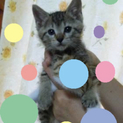 良いご縁がありました。ありがとうございました。