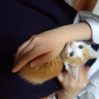 ありがとうございました！