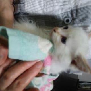 ありがとうございました。
