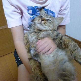 やさしい里親さまに巡り会えました！