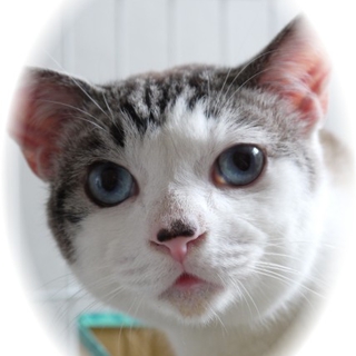 ＊癒し顔のブルーの瞳の男の子＊