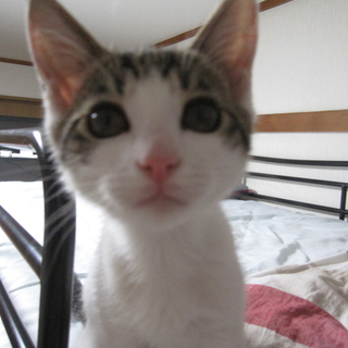 心を癒すＴＥＤＤＹ　ＢＯＹ！