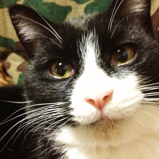 元気な男の子【東北～関東】