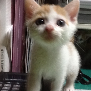 ありがとうございました