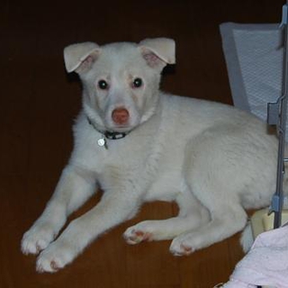 とても優しいご家族に巡り合えました