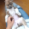 生後約3ヶ月のチビチビ サムネイル5