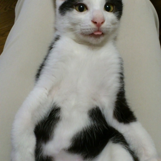 甘えん坊のお泣きちゃん