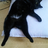 おっとり　にべ君 サムネイル2