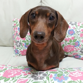 たくさんの応援ありがとうございました！