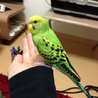 ありがとうございました。 サムネイル2