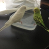 ありがとうございました。 サムネイル3